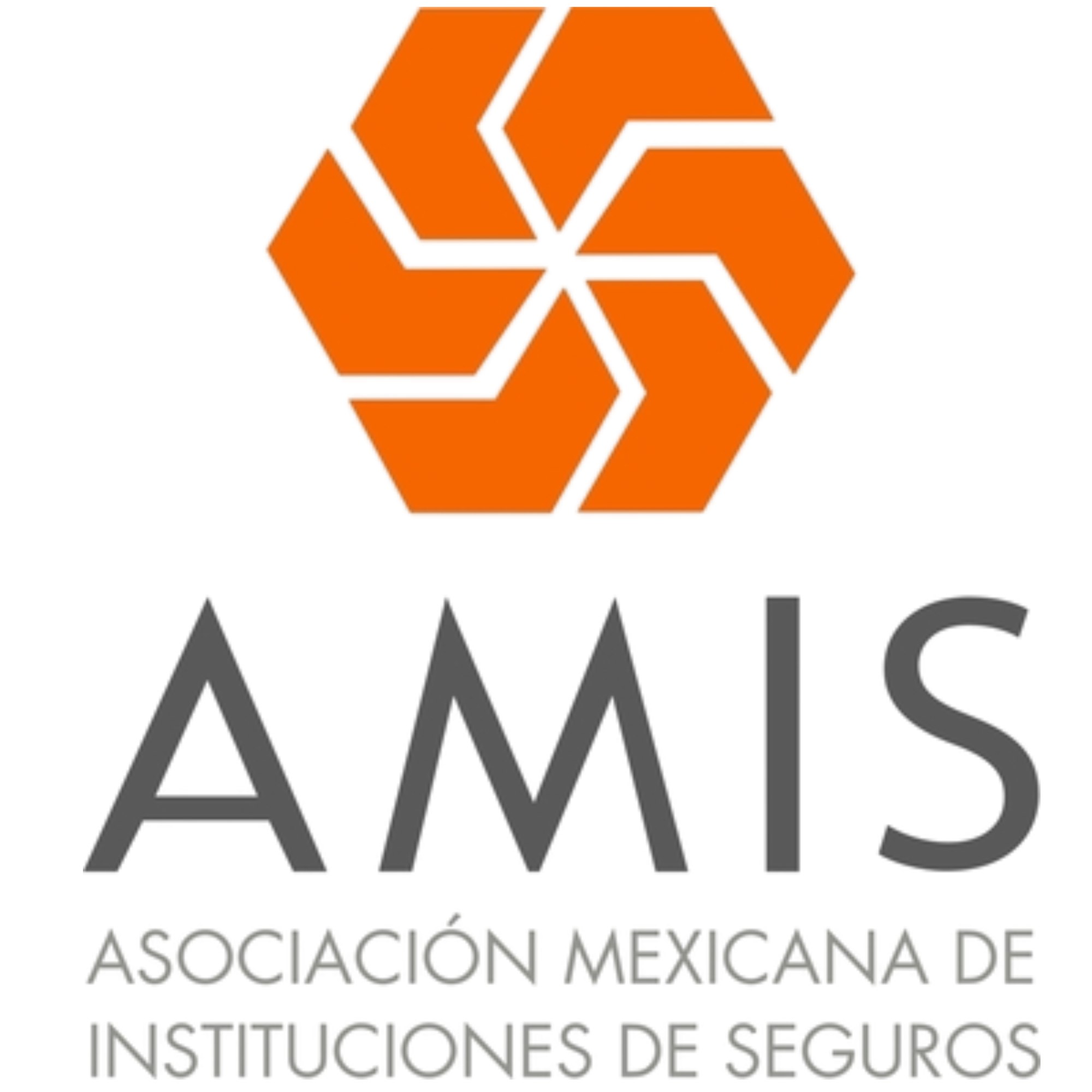 Logo AMIS